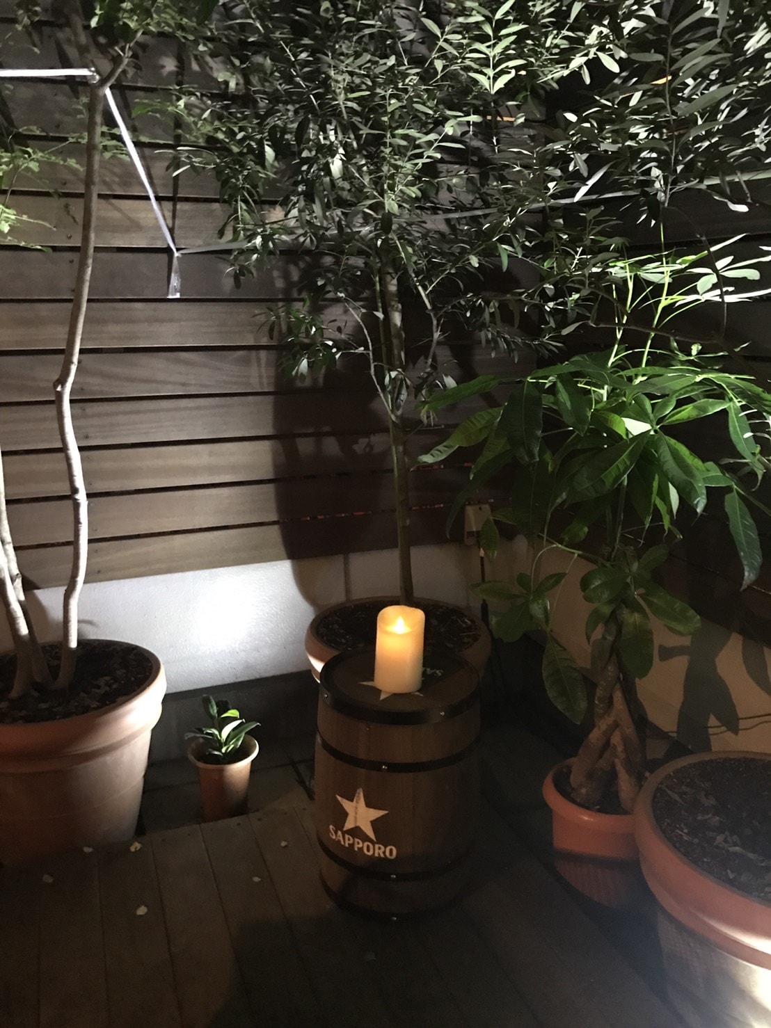 夜を乗り越える