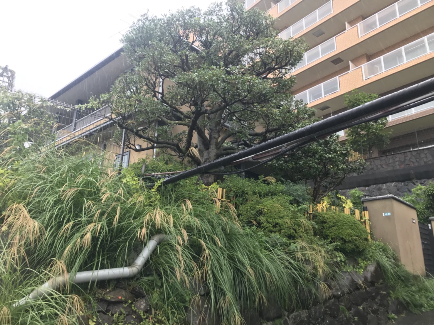 熱海の物件など