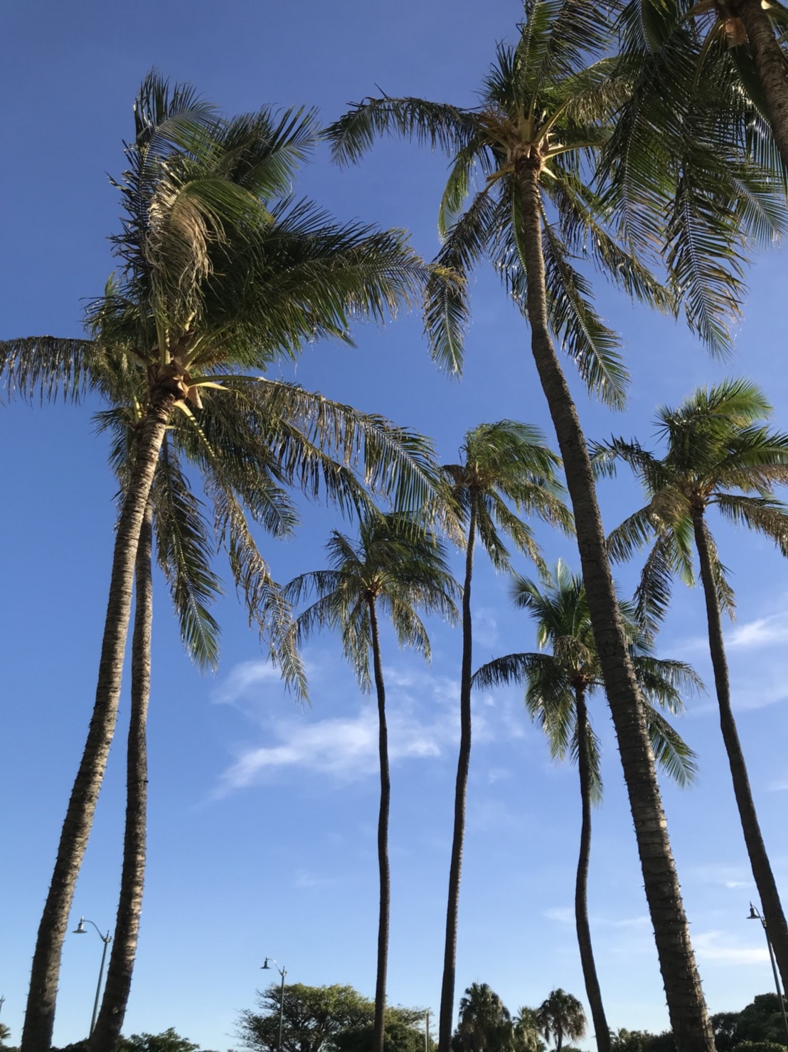 ハワイの空