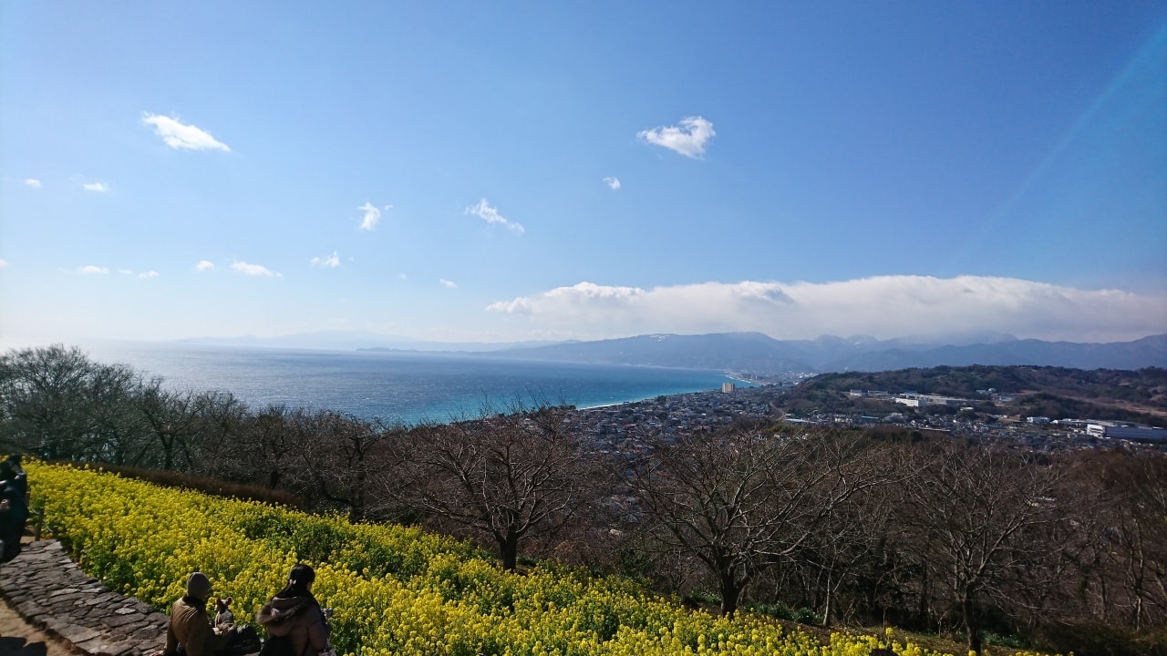 吾妻山